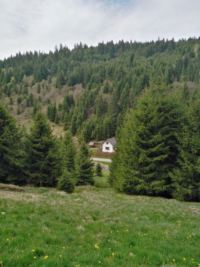 Csillag Kulcsoshaz Villa Gheorgheni  Dış mekan fotoğraf