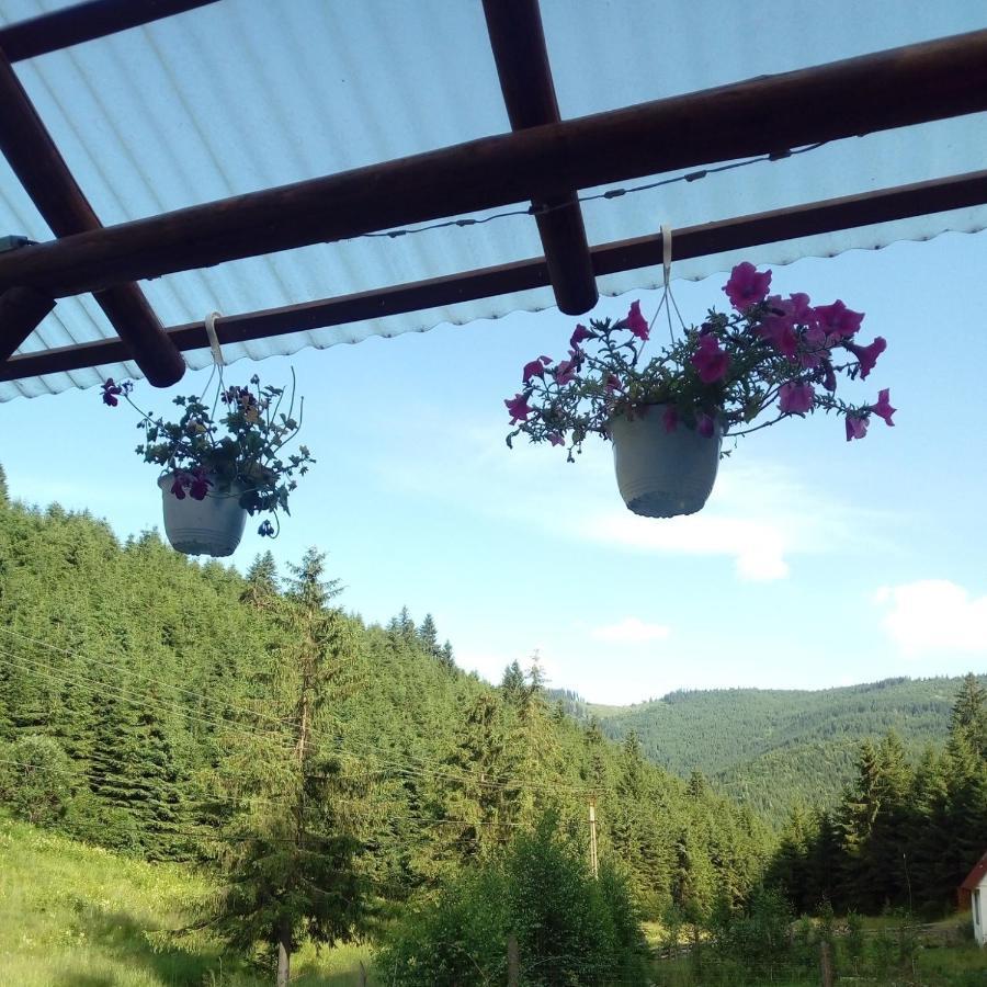 Csillag Kulcsoshaz Villa Gheorgheni  Dış mekan fotoğraf