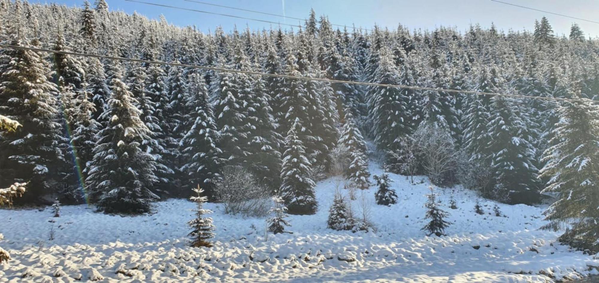 Csillag Kulcsoshaz Villa Gheorgheni  Dış mekan fotoğraf
