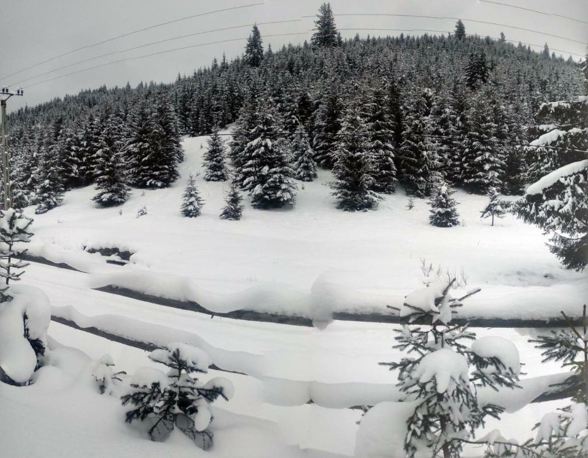 Csillag Kulcsoshaz Villa Gheorgheni  Dış mekan fotoğraf